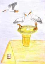 Tibenská Natália.jpg